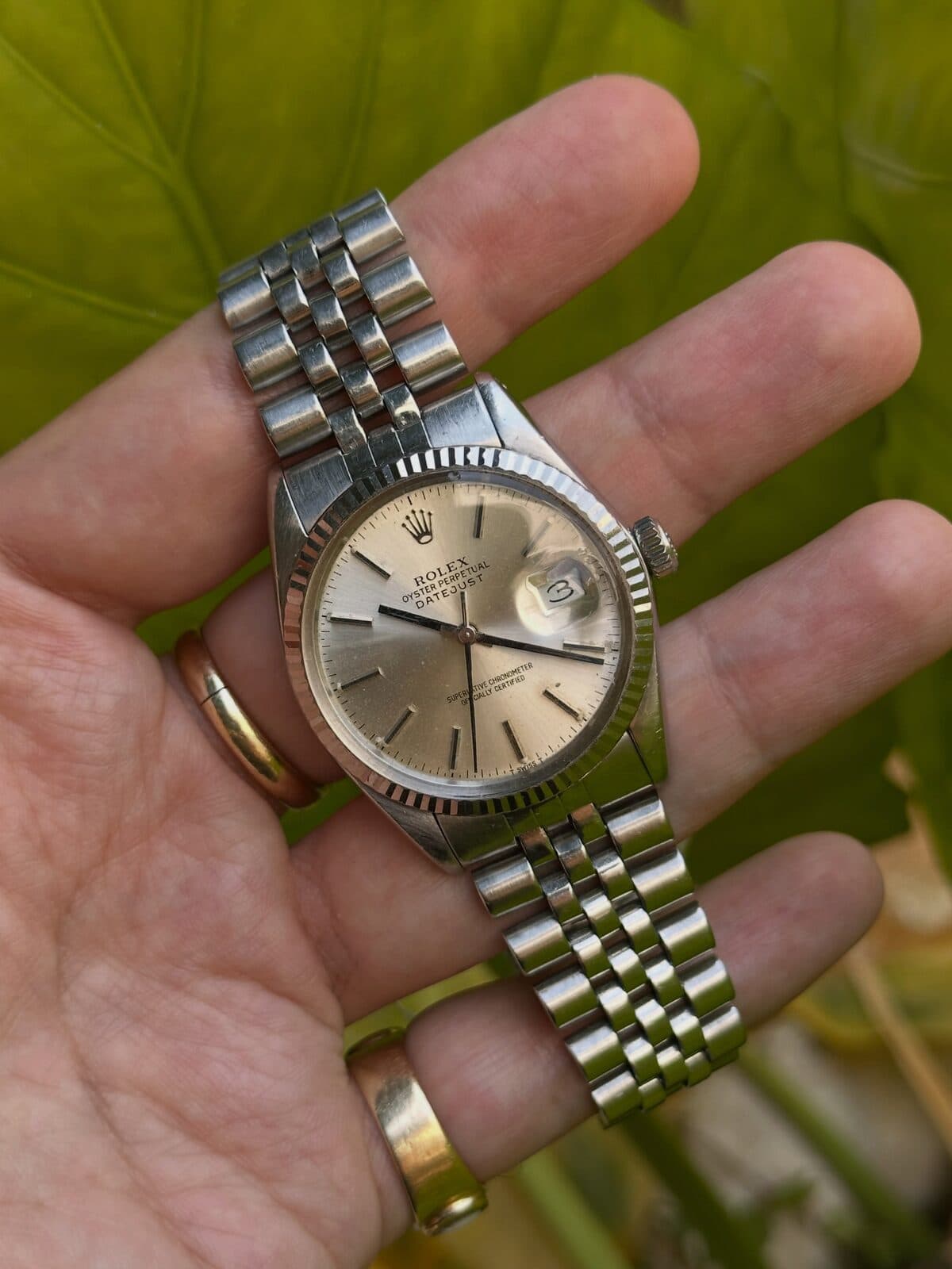 A watch with a silver dial in an open palm, with leaves behind.